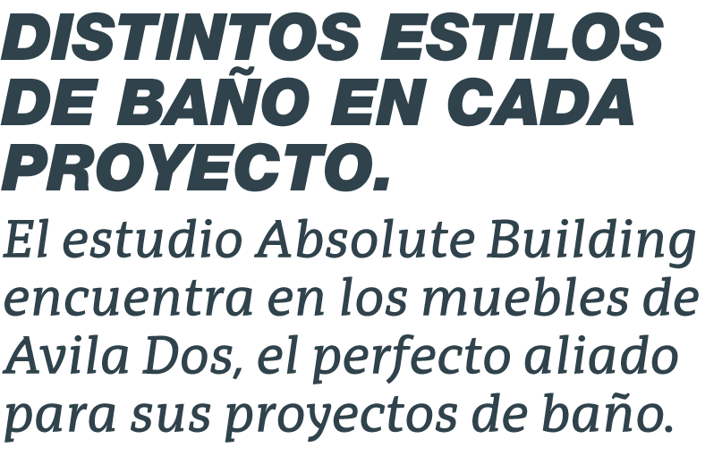 parrafo-proyectos-absolute-building