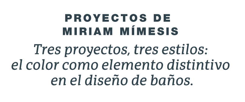 parrafo-miriam-mimesis-3-proyectos